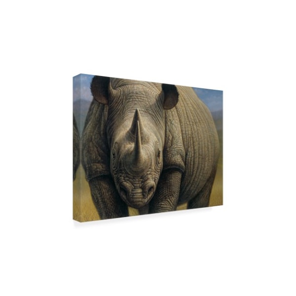 Dan Craig 'Rhinos Portrait' Canvas Art,24x32